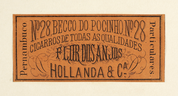 vizualizar o documento on line